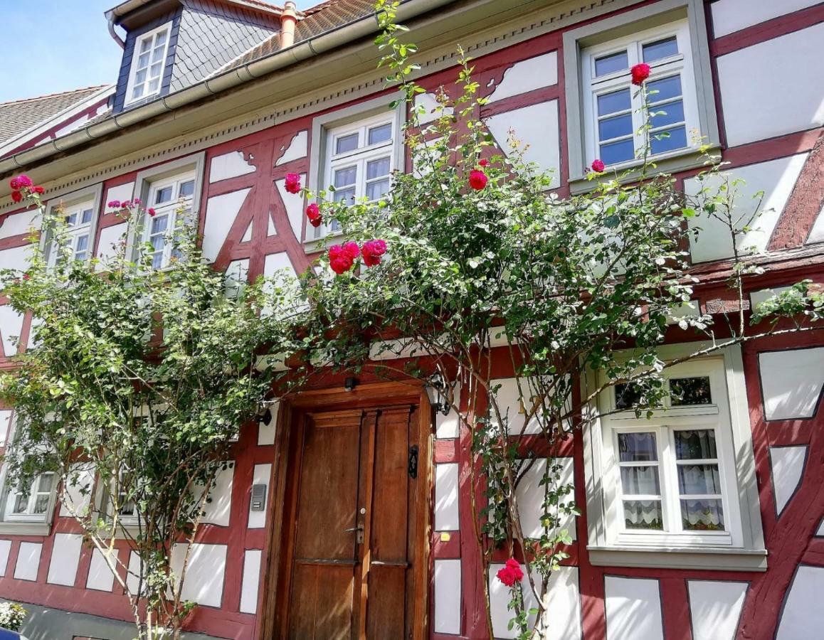 Villa Odenwald Lounge à Reichelsheim Extérieur photo